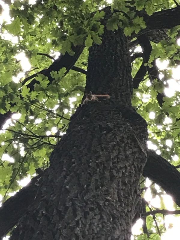 � ���������� ����� ������ ����, ������� ���� ���� � ����������� ��� ������ �� ����� �������� ������ � ��� �������