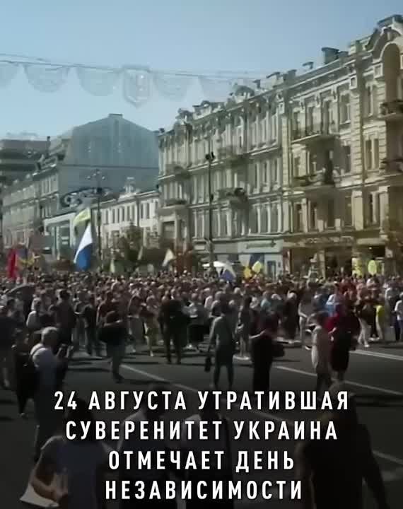 ���������� ����������� ������� 24 ������� �������� ���� �������������