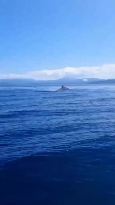 "��, �� ��� �������!" �������� ��� ��������������� �������� � ������� ������� (���������� �������)