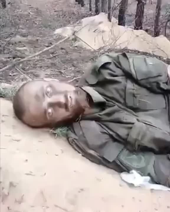 ��� �� ����� � ������������� ������ ������ ����� ������������ ���������