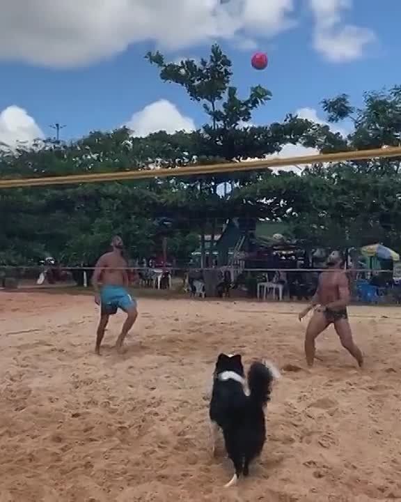 ����� ��� ���� ����� �� ������!.