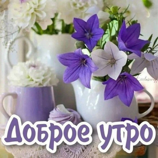 � ������ ����� � �������� ���