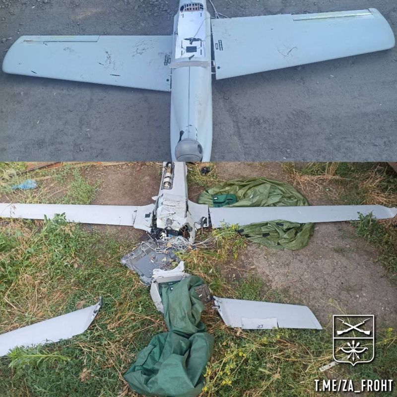������������ �Shark� � �Tekever AR3� ���, ������ �� ����������� �����������