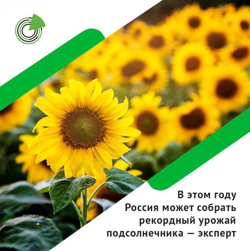 � ���� ���� ������ ����� ������� ��������� ������ ������������� � �������