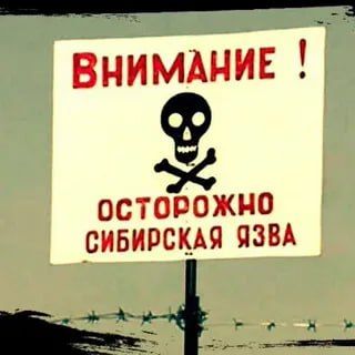 ��������� ������ ����������������� ��������� ���������!