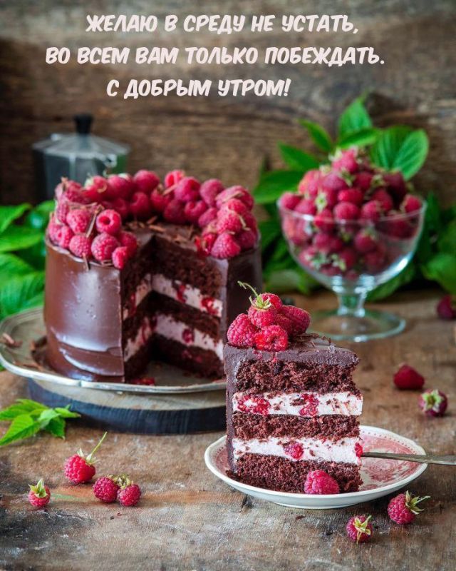 � ����� ����, ������� ���� ����������