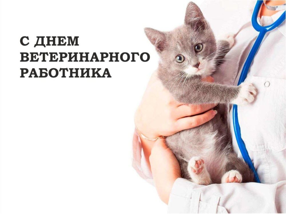 � ������ 31 ������� �������� ���� ������������� ���������
