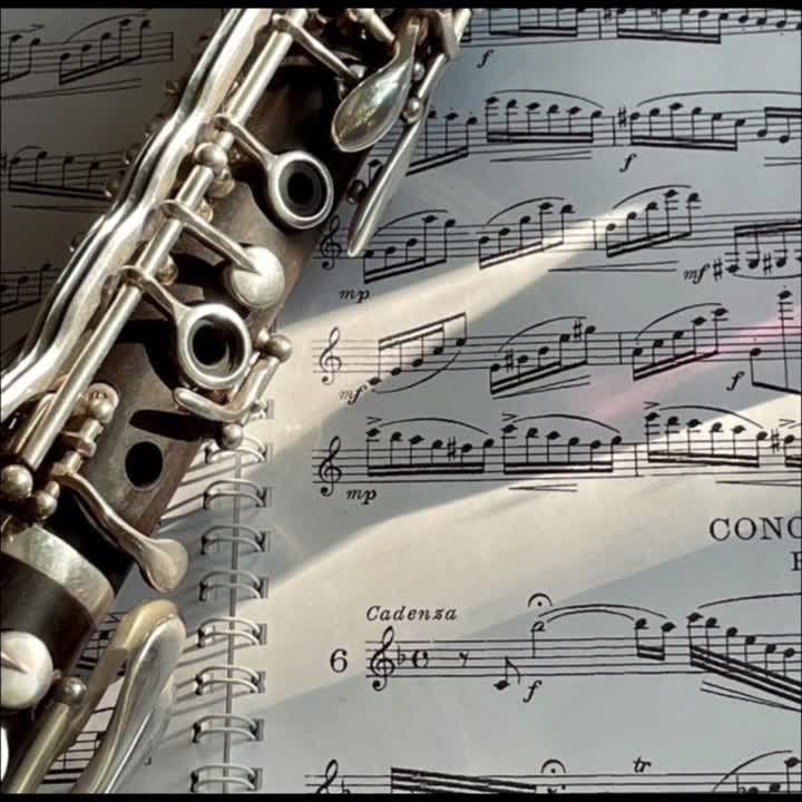 ������������ ������� ����� �������� ���������� ����� �������� �� 2023-2024 ������� ���