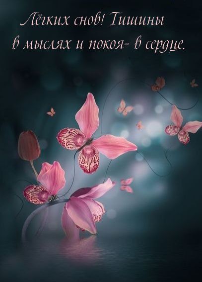 ������ ����������