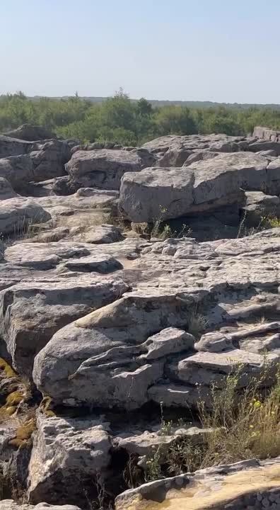 �������� ��� ���� ����� ����������� ����������� ������� � ����� �������� ������