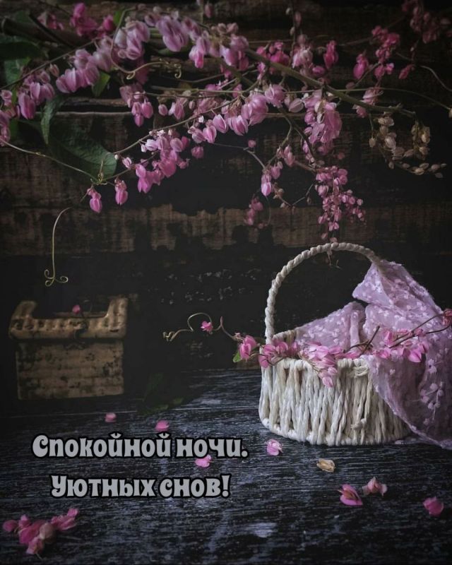 �������� ���� � ������ ����