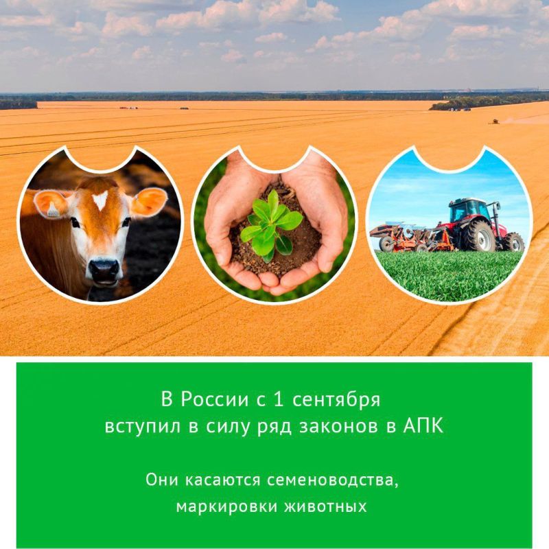 � ������ � 1 �������� ������� � ���� ��� ������� � ���