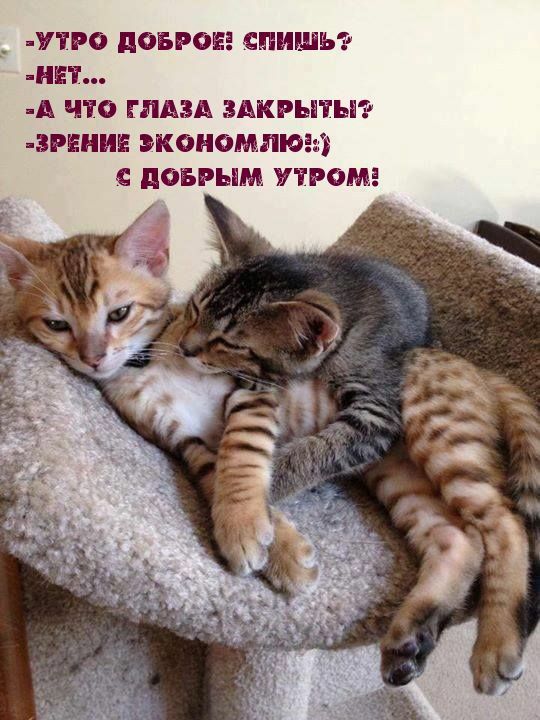 ����� ���� ���������� � �� ���� ���������