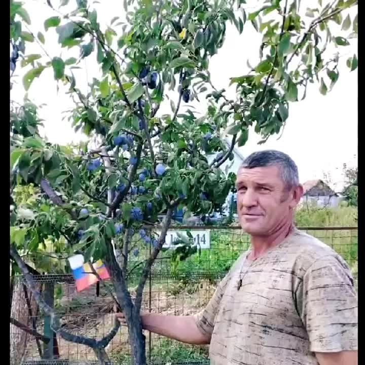 ������ ������: ���������� �������� ������ ����� ��������������� ������!