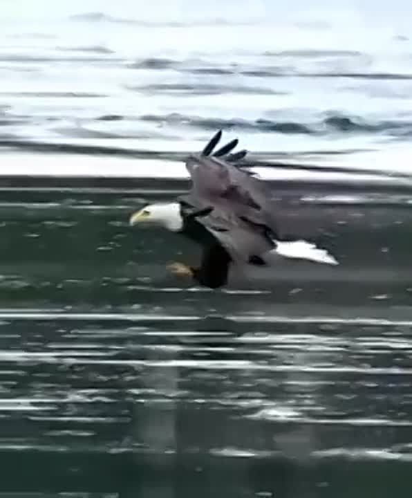 ������� ������ ��������������, ���������� � �����������, � ��������� ���������� ������ �����!