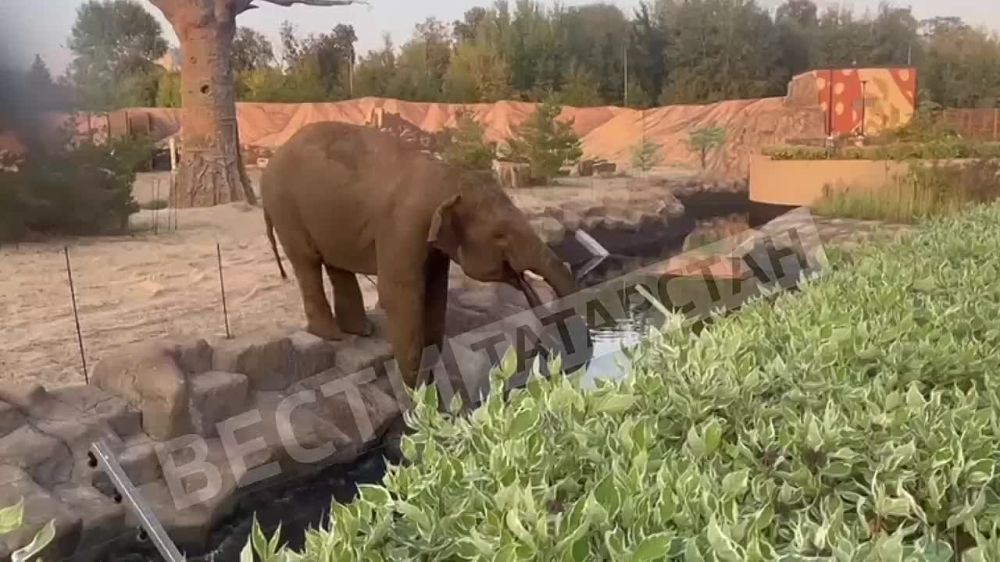 � ��������� ������� �������� �����