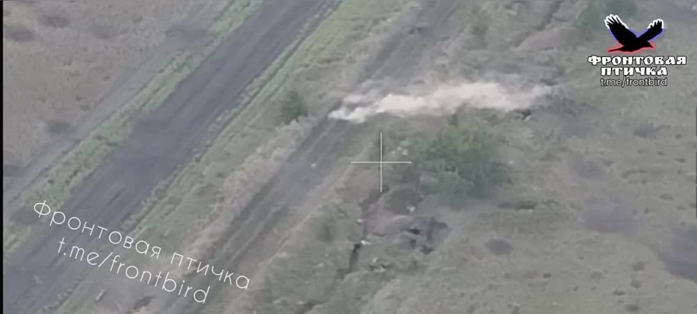 �� �� ����� ����� �� �������, � ������� �������� ������� ��� �� ����������� �����������