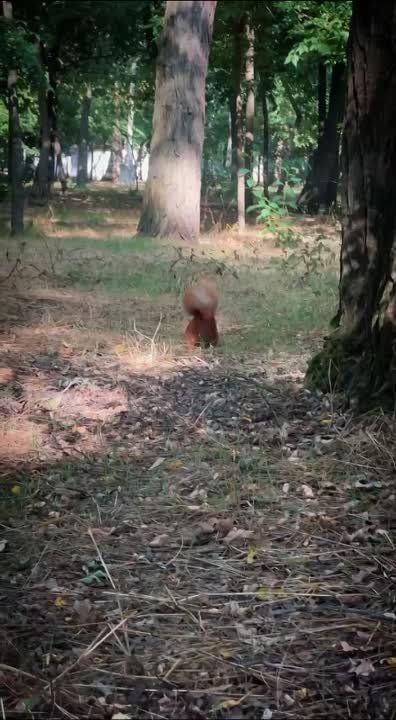 ������ ������: �� ������, ��� �� � ���� ����� ������ ����������?