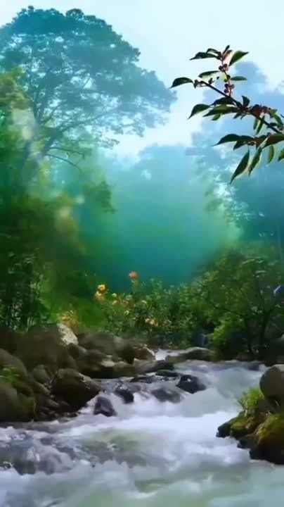 ������� ������ ��������������, ���������� � �����������, � ������� ������ �����!