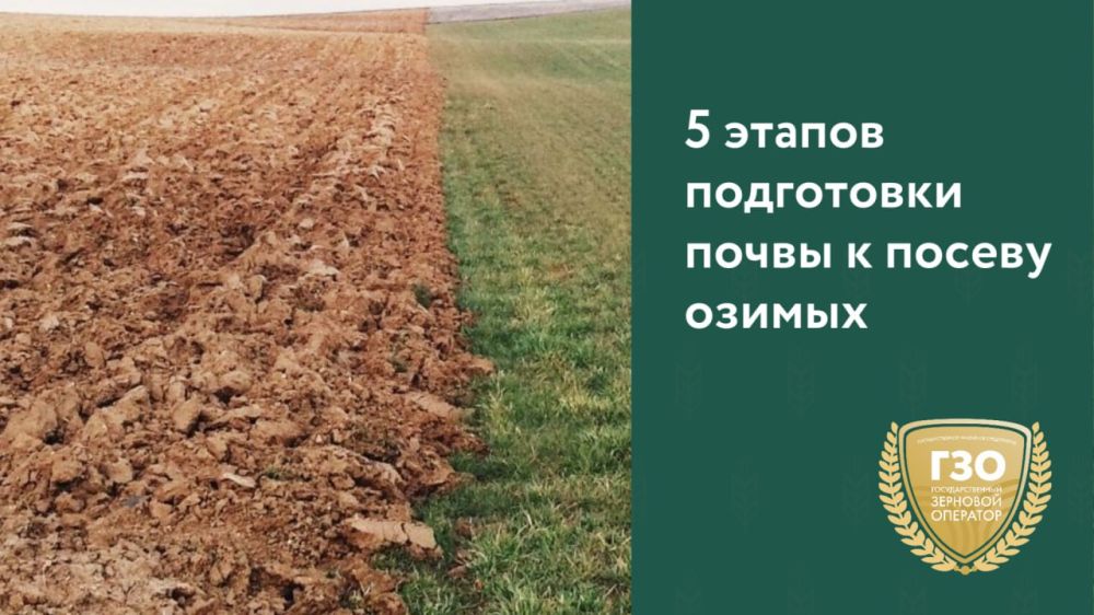 5 ������ ���������� ����� � ������ ������