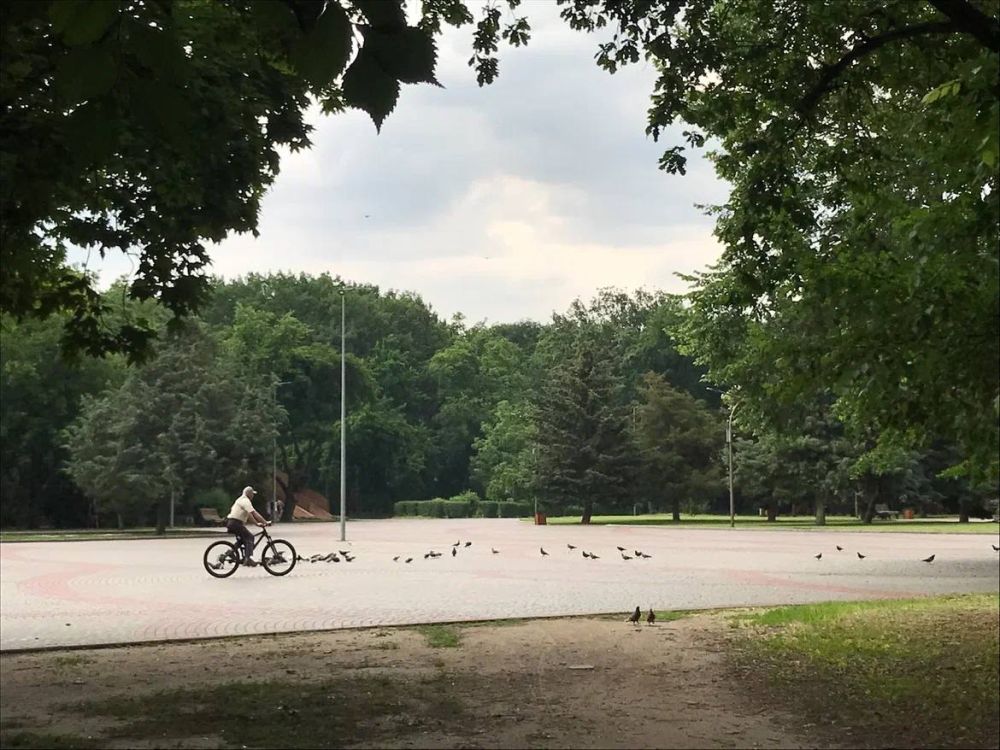 � ���������� ������� �����������