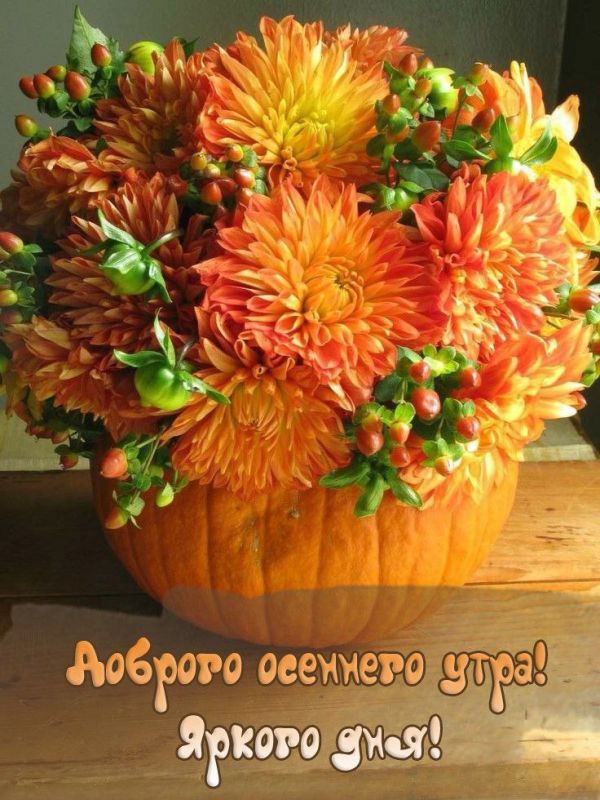 Ҹ�����, �������. �������� �������!