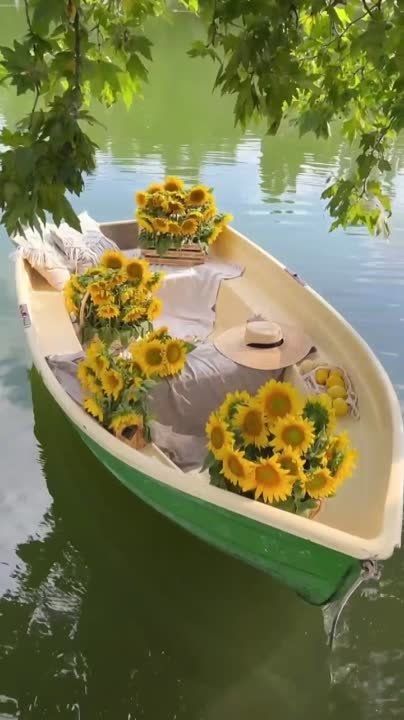 �������, ��� ����� - ��� ��������� �������