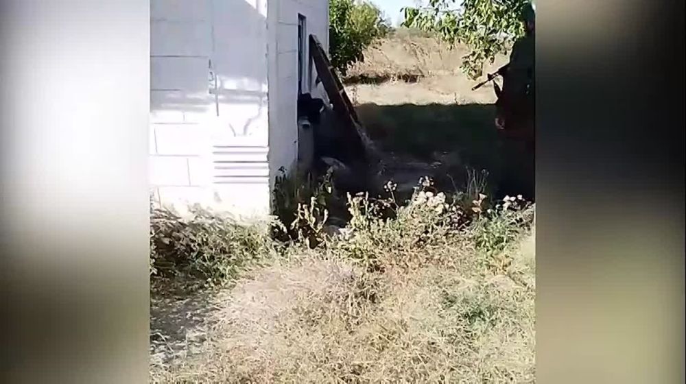 ���������� ������� ����������� ������� ���������� ����� � ������������ � ����������� ����������
