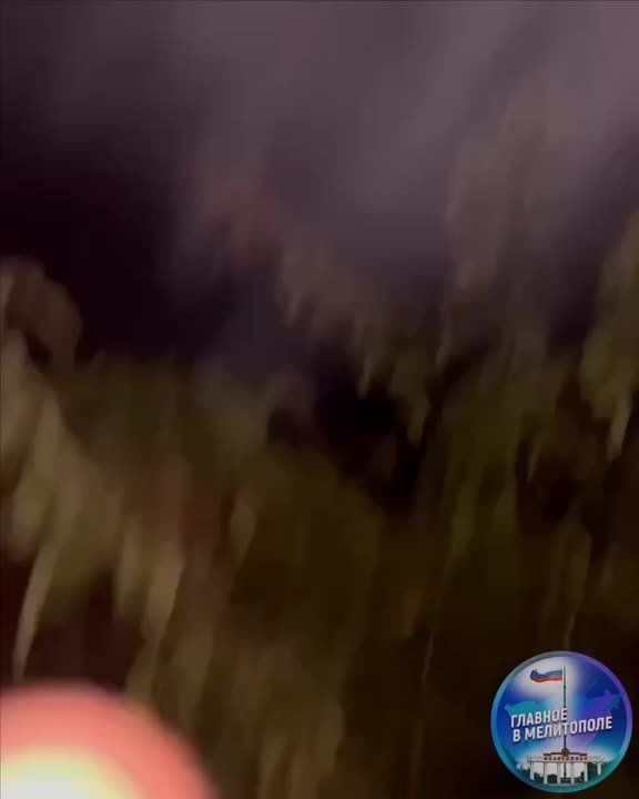 ��� �������� �������� ��������, ����������������, ������� �������
