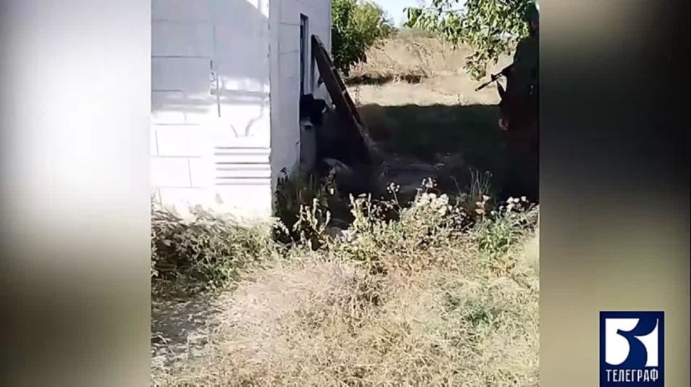 ������� ���������� ��������� ����� � �������������� ������: ������ ����� 700 ��������, ����� ������� ������