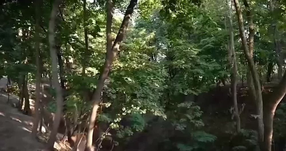 �������� ��� ������, ������������ ����� ������� �����, ������� ���� ������. � ������ ����� �������, ��� ��� ���� ��������....