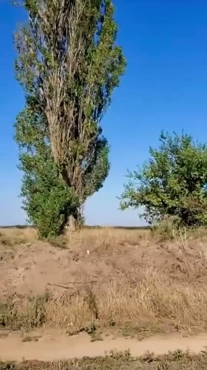 ����� ������ ���� ����������� ��-25 ��� ������ �� �������� ���������� ������������ �� ����������� �����������