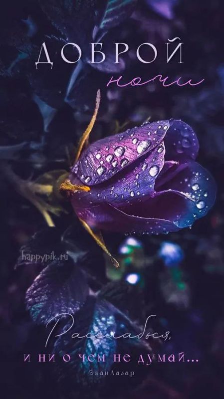 ������ ����. ����� ����� ����� �����������, ��� ��������, � ���� - ������ � �����