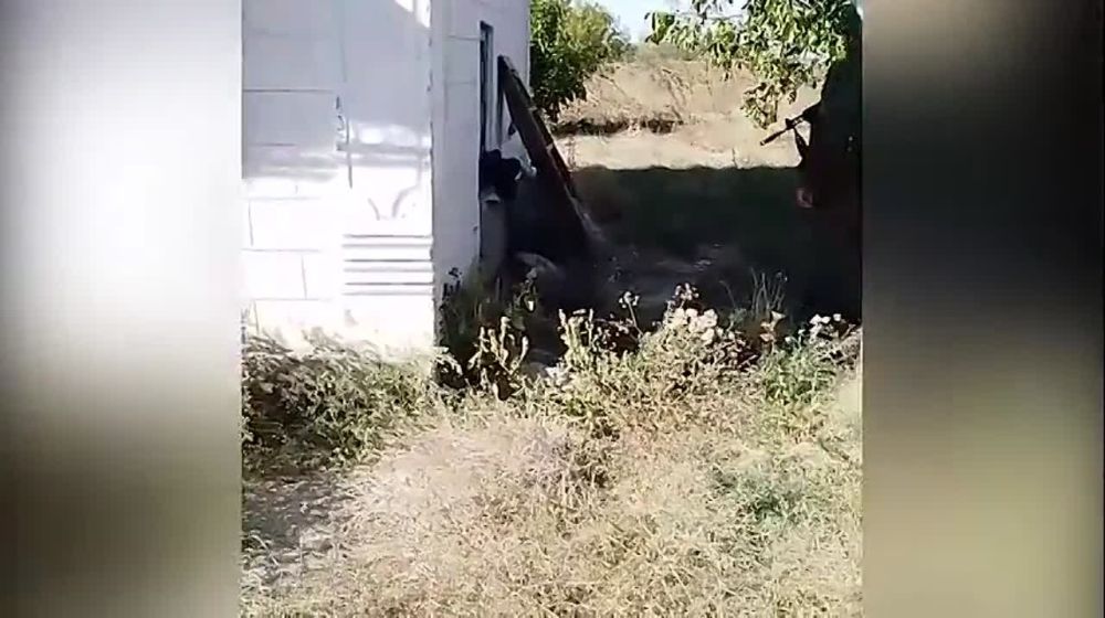���������� ������� ����������� ������� ���������� ����� � ������������ � ����������� ����������