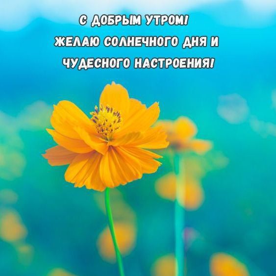 ����� ����� ���� ������
