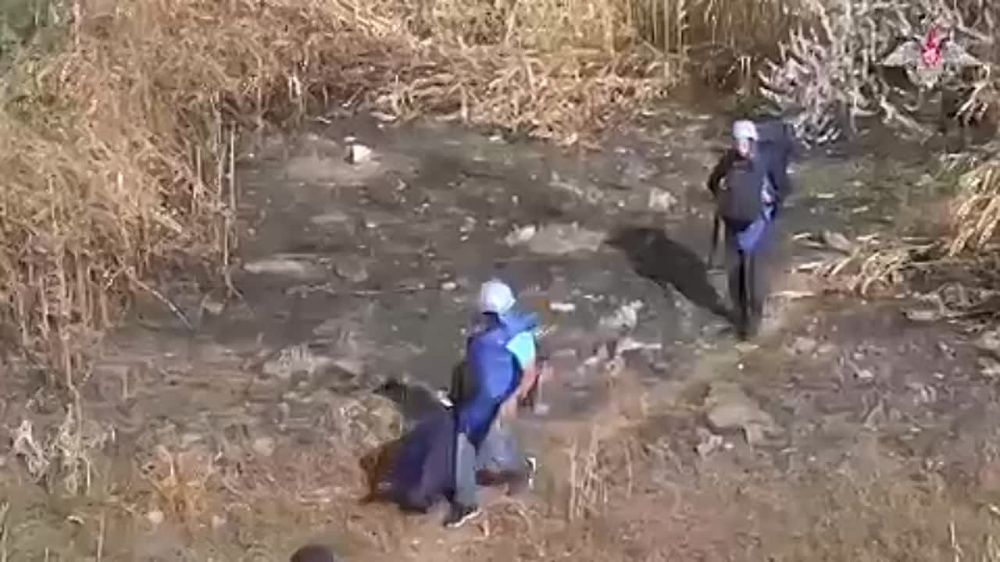 ������ ����������� ��� ���������� ��������������� ���������� ������������ ������������
