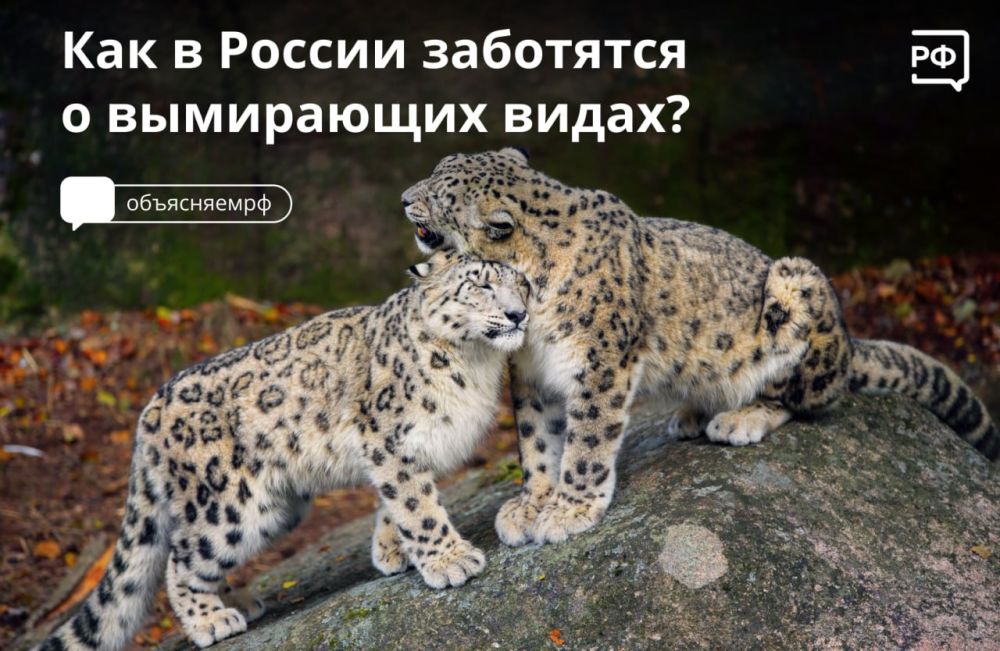 � ������� ����� ������ �������� 443 ���������� ���� ������, ����, ���, ���������, ����������� � ��������������