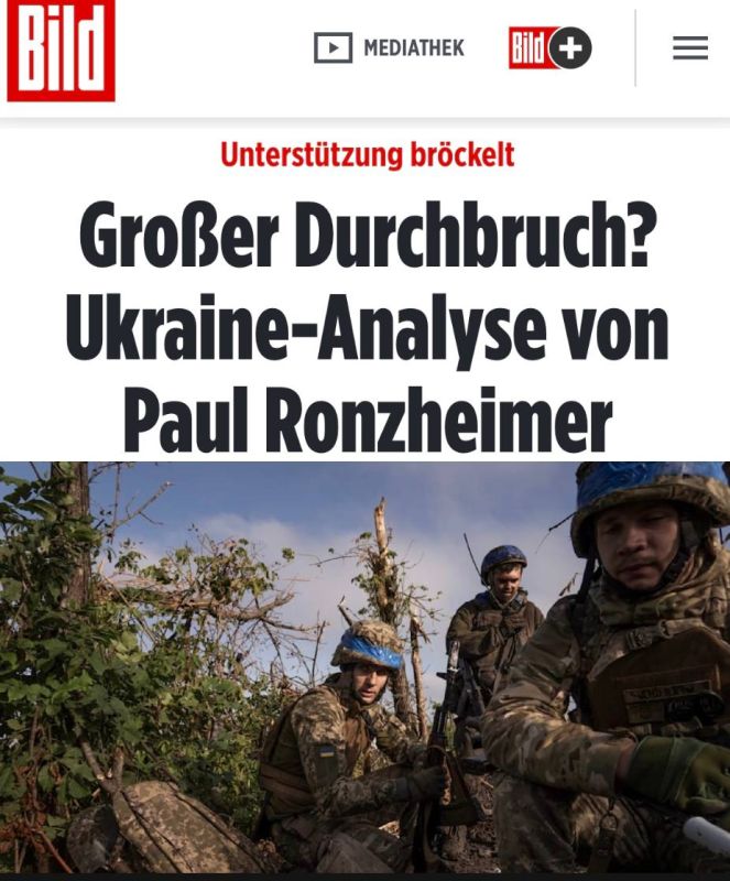 ���������� �������: ������� ������?�: Bild ������ ���� ������ �������� ���������, ��� ��� ������� - � ����� ����� ��������, �������� �����������, � �������� ���������� ���������� � �����������
