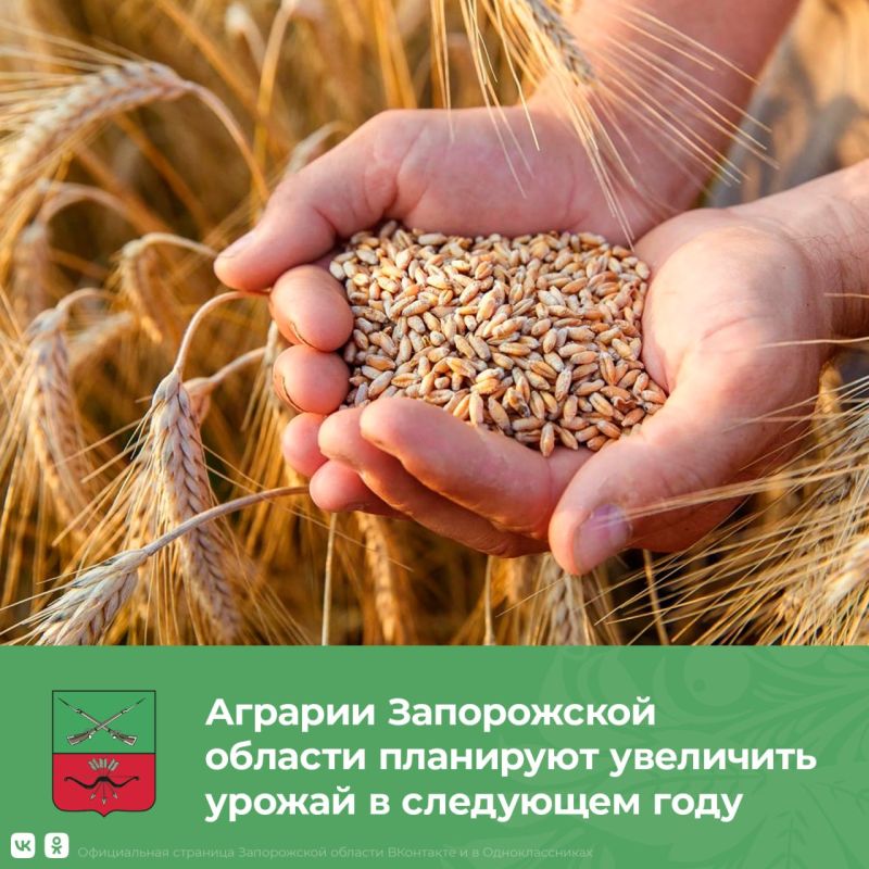 ���������������� �������� ����������� ������� ������� �����������