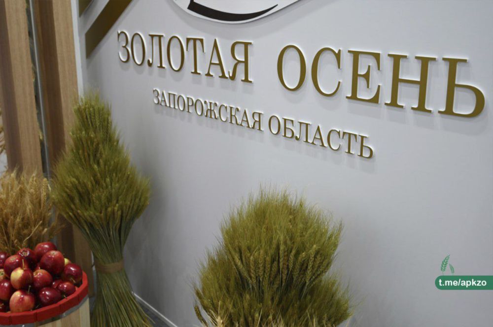 ����������� ������� ��������� ������� � 25-� ���������� ���������������� �������� �������� �����-2023�