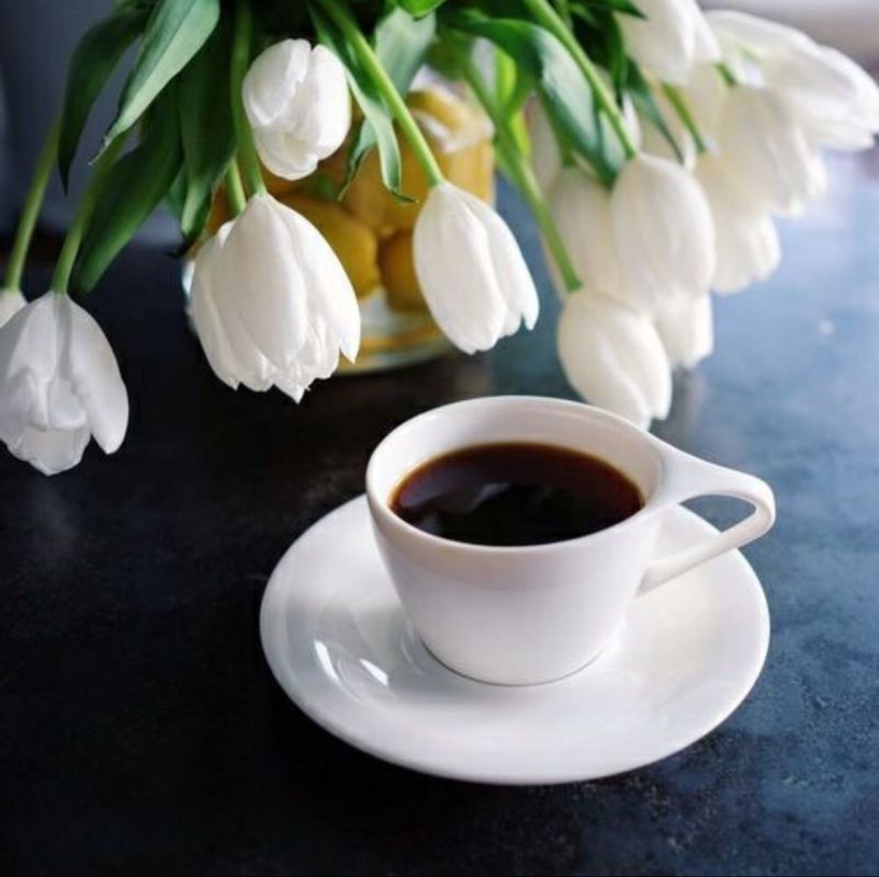 ����. ����� �� �����..