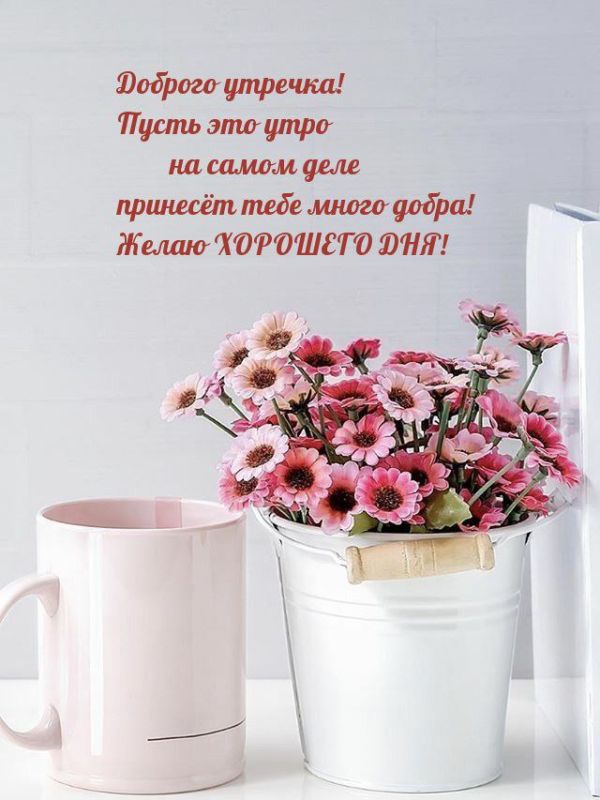 ���� �������, ���������� �������� � ��� �����������