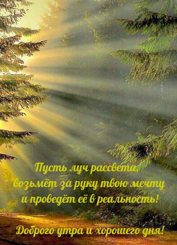 � ������ � �������� �����. ���� �������� ��� � ����������