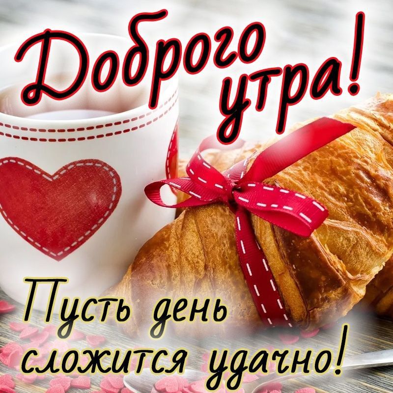 ����� ����� ���� �������� �����