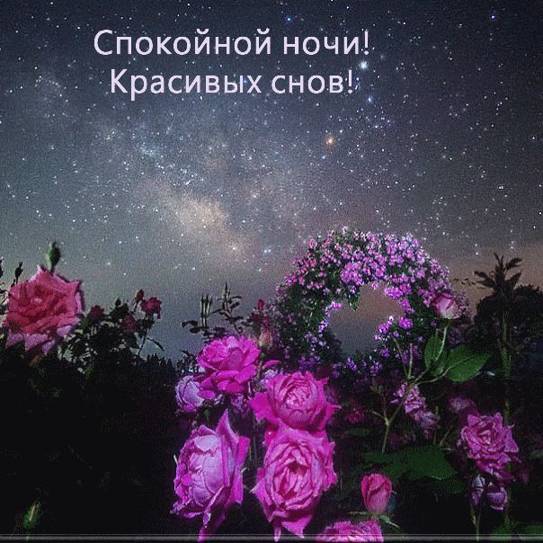 ������ ���� � ����� ����