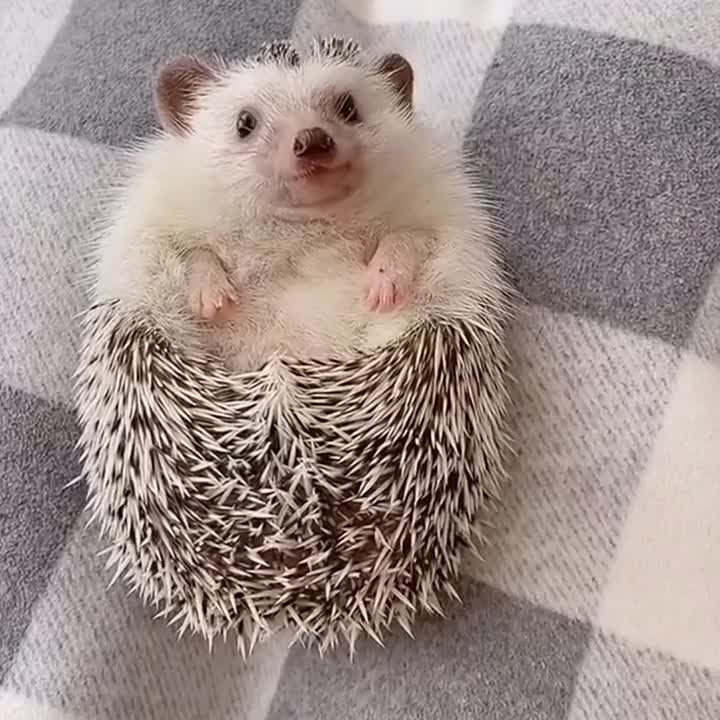���� ��������� ���, ��� ����� ���� ����������