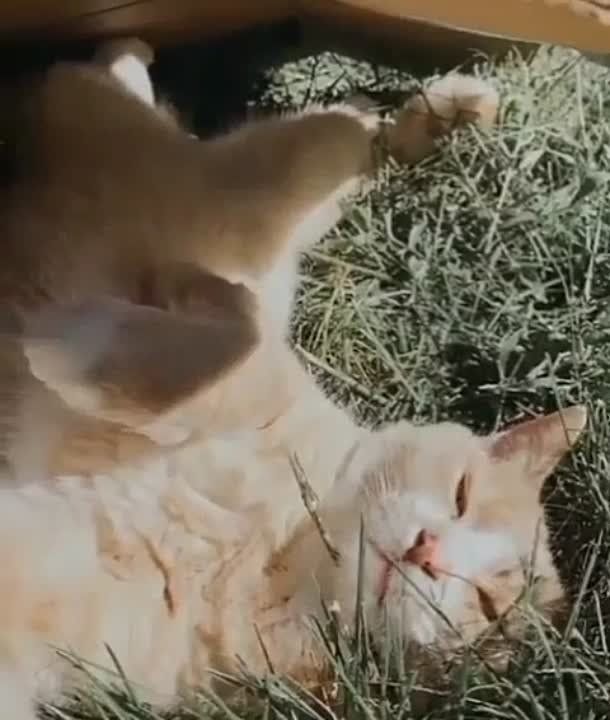 ������� ������ ��������������, ���������� � �����������, � ������ ��������� ���������� �����!