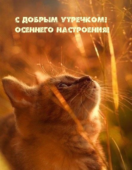 ������� �������� �������. ������ ���� �������� ���