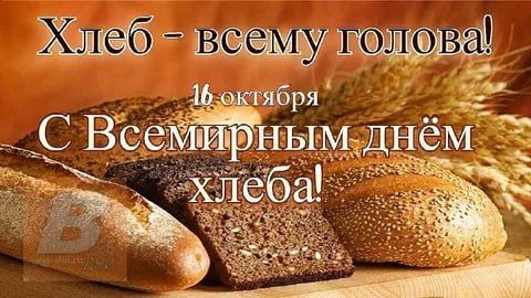 16 ������� � ������ � �� ������� ���������� ��������, ����������� ������ �� ����� ���������� ���������, � ��������� ���� �����