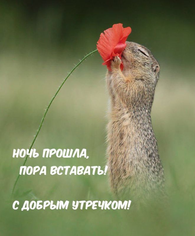 � ������, �������� ��������